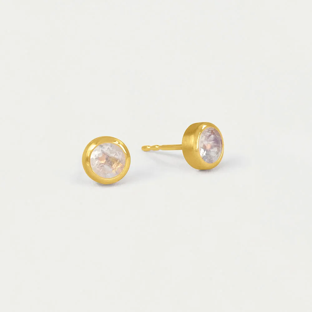 14K Gold Signature Small Studs