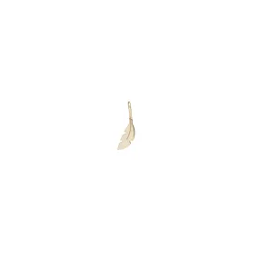 14k Midi Bitty Feather Charm