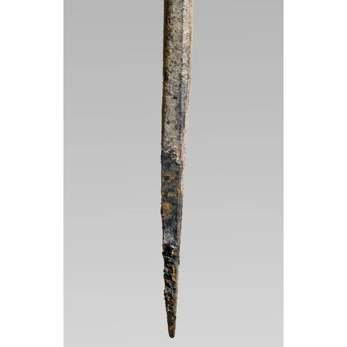 Bamana Ritual Staff, Mali #806