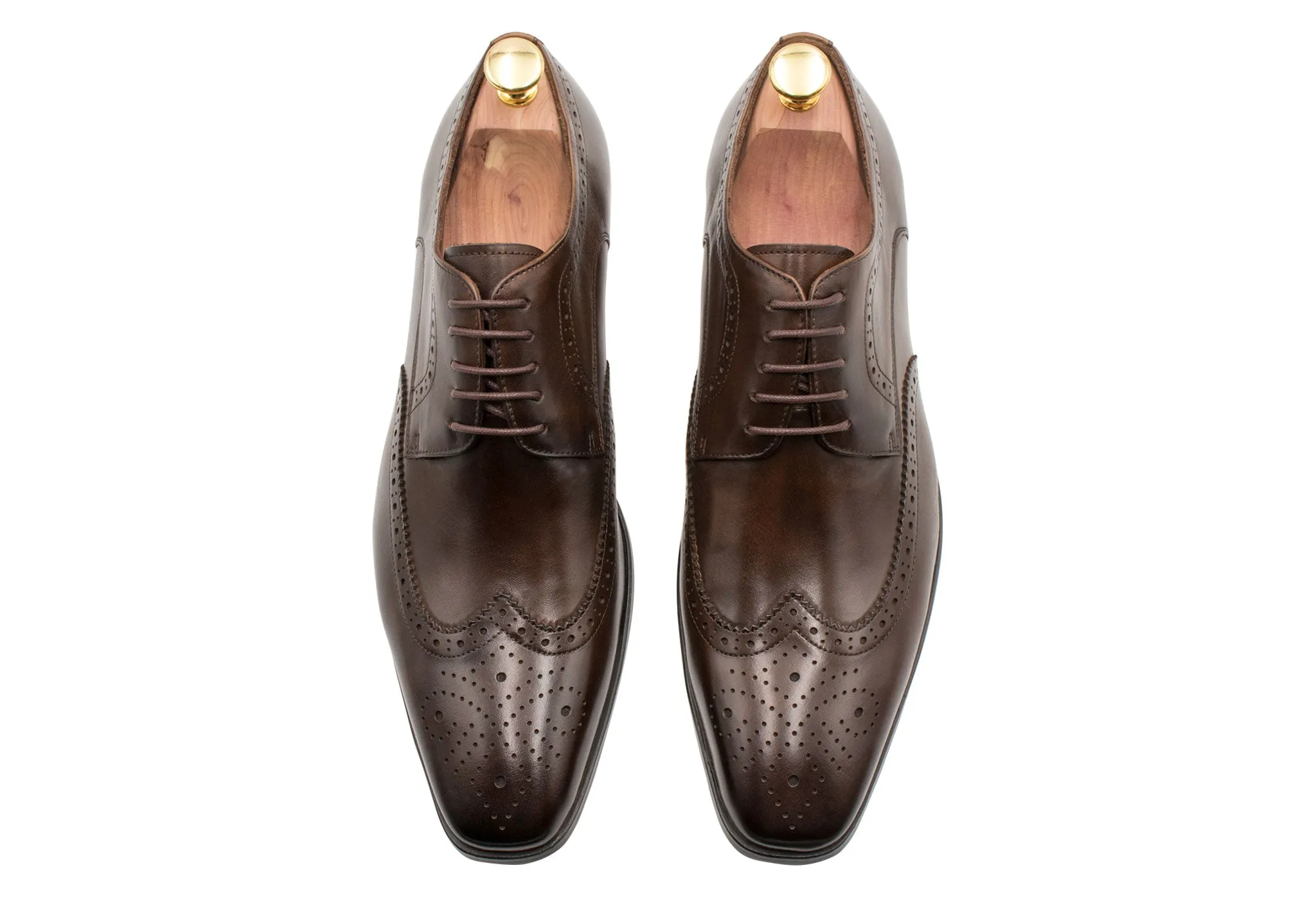 Caseros Wingtip Walnut Derby