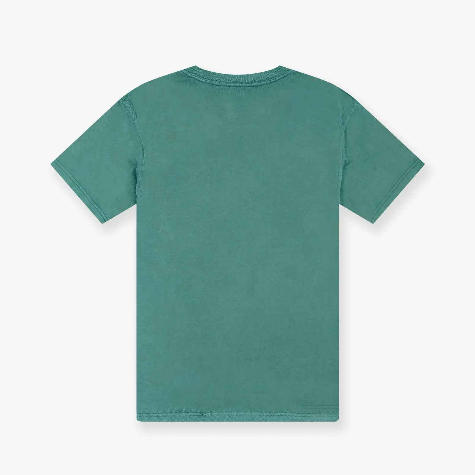 Charlotte Hornets Vintage HWC Big Logo Colour Tee - Faded Aqua