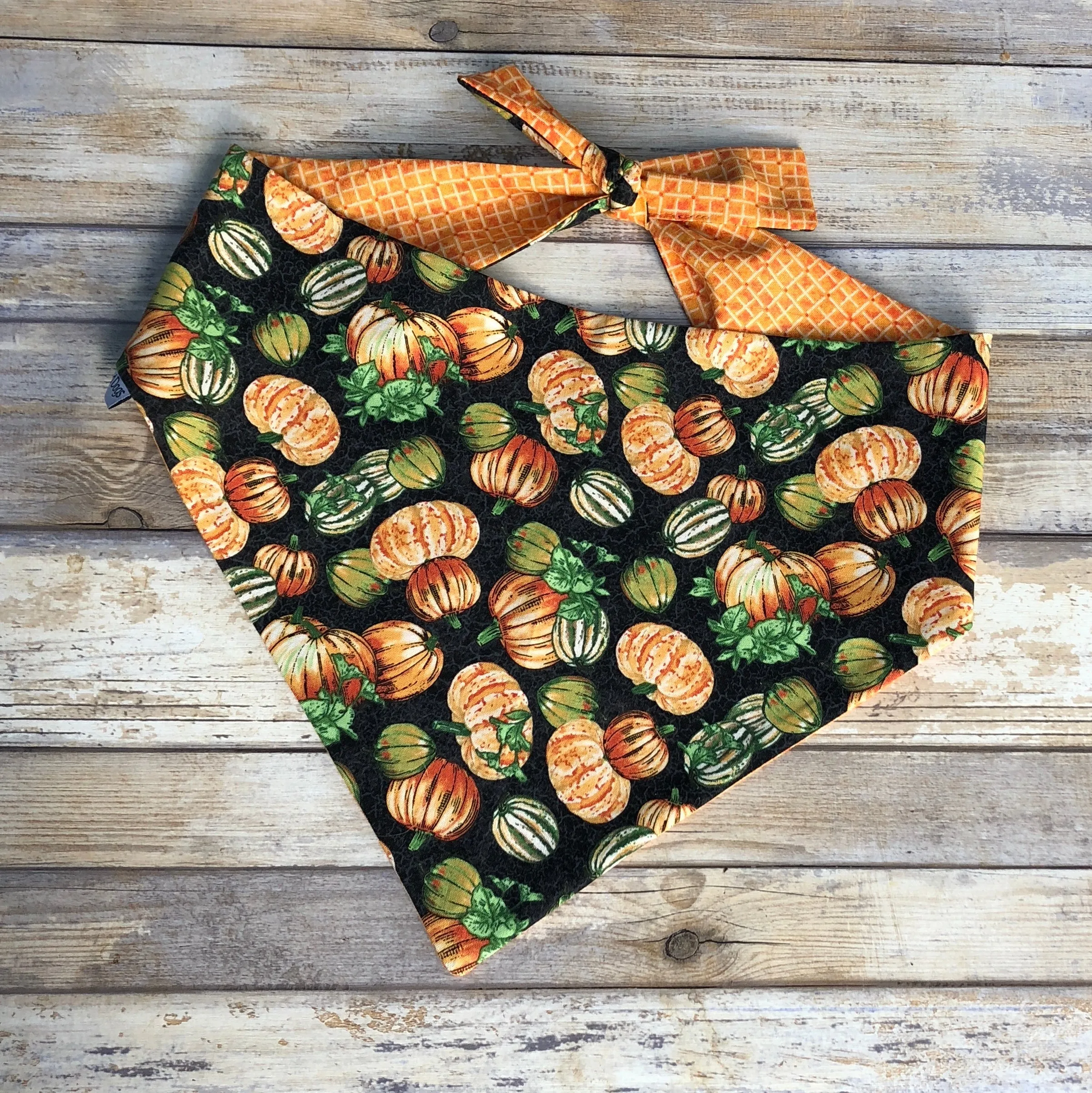 Fall Pumpkins Personalized Bandanas