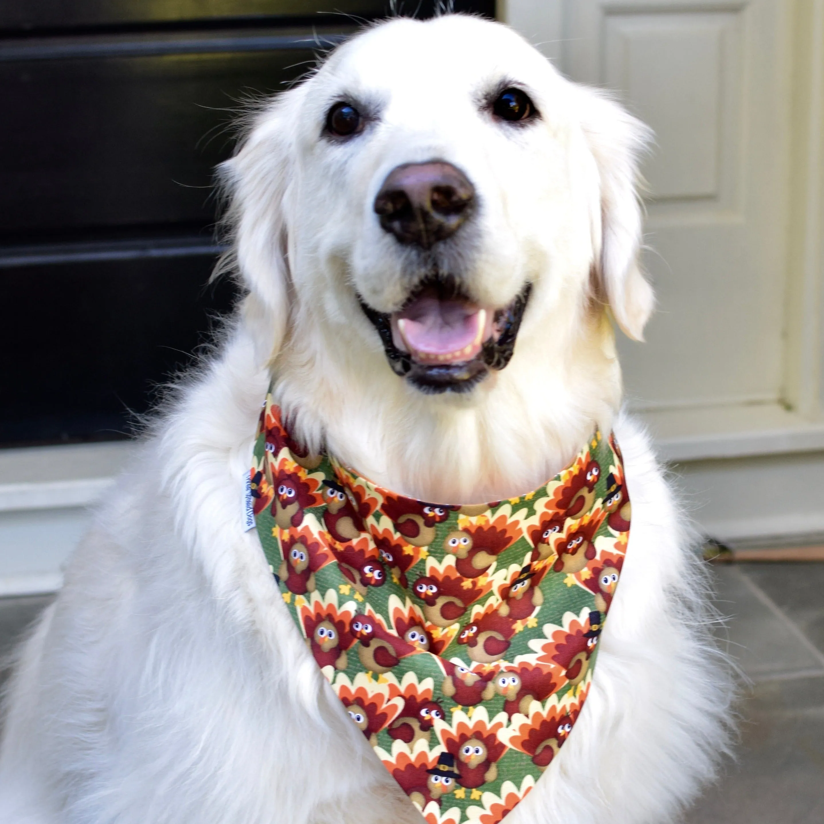 Fall Pumpkins Personalized Bandanas