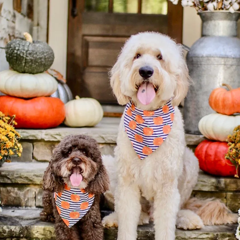 Fall Pumpkins Personalized Bandanas