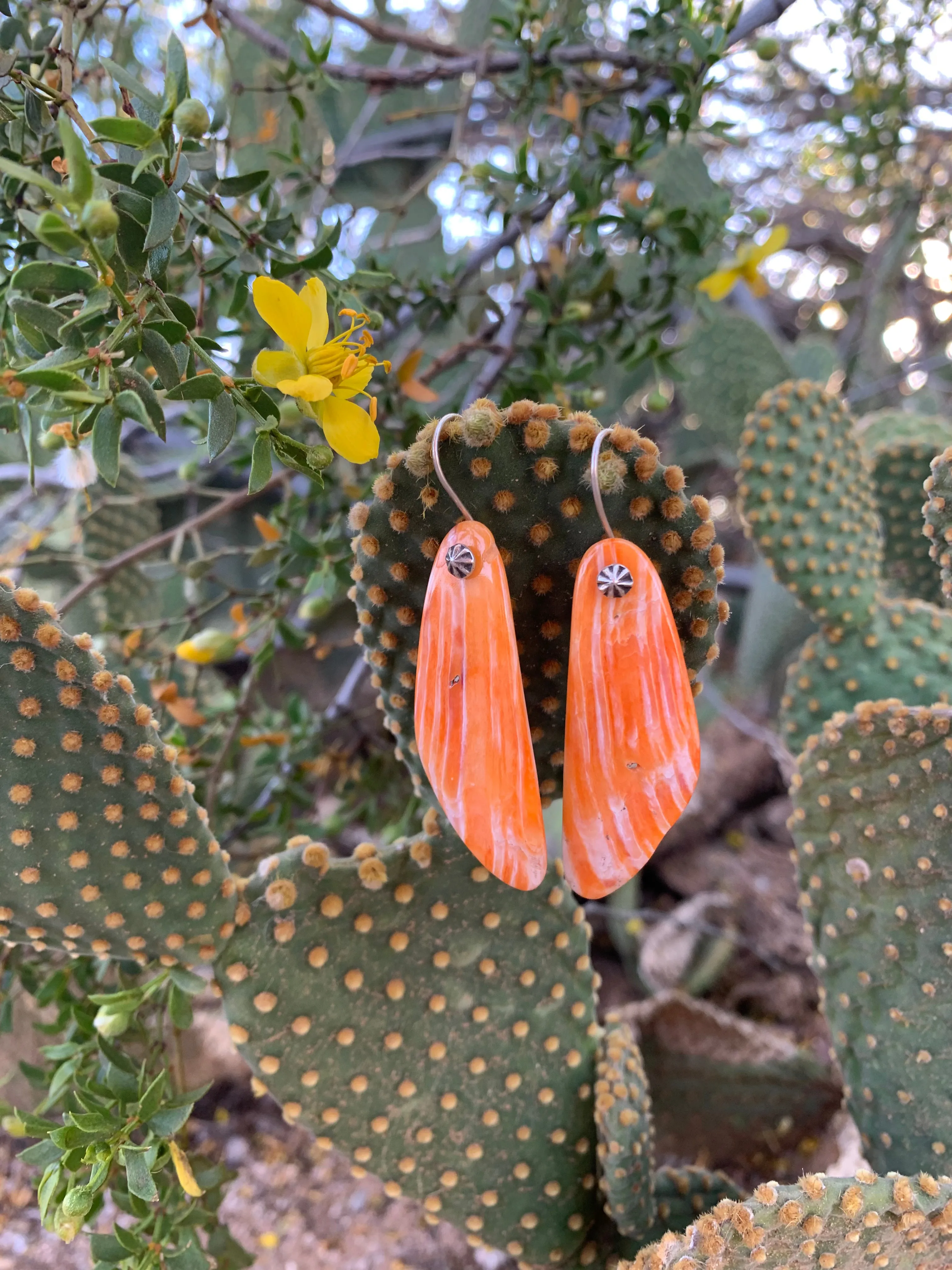 Orange Spiny Oyster Shell earrings