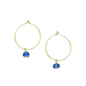 Perfect Hoops Tanzanite