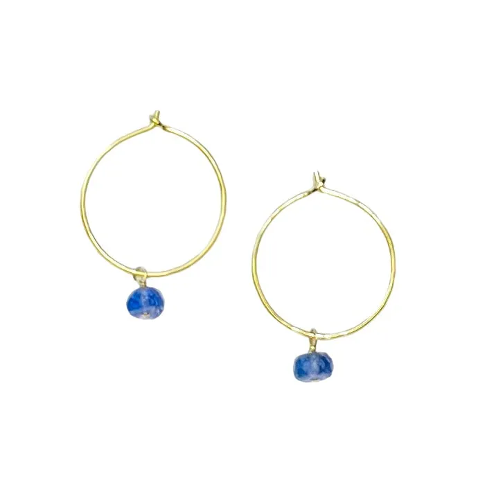 Perfect Hoops Tanzanite