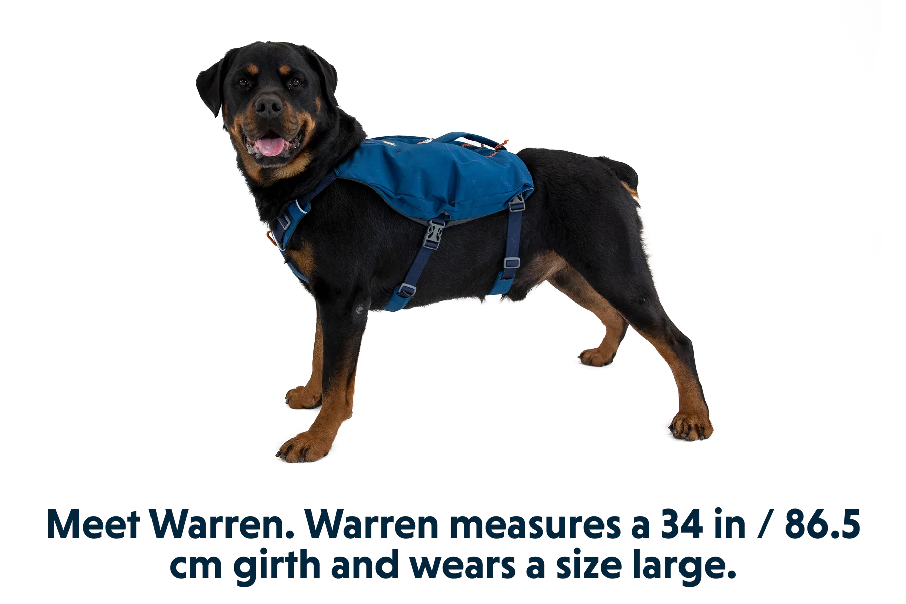 Switchbak™ Dog Harness